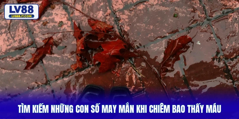 Tìm kiếm những con số may mắn khi chiêm bao thấy máu